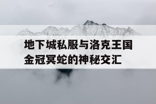 地下城私服与洛克王国金冠冥蛇的神秘交汇