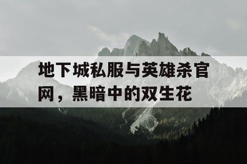 地下城私服与英雄杀官网，黑暗中的双生花