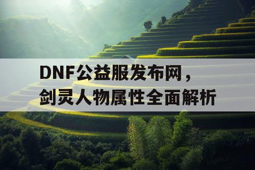 DNF公益服发布网，剑灵人物属性全面解析