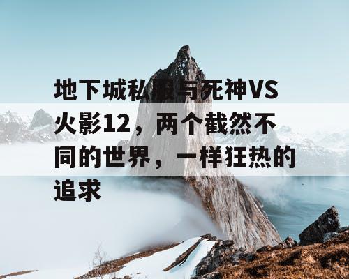 地下城私服与死神VS火影12，两个截然不同的世界，一样狂热的追求