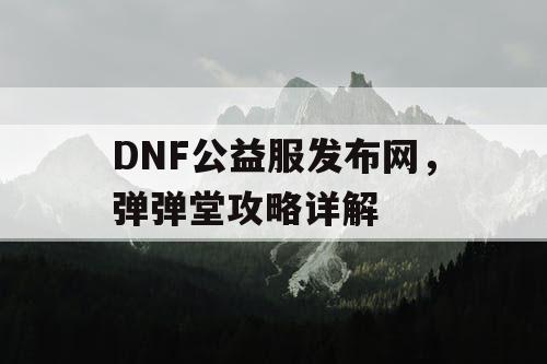 DNF公益服发布网，弹弹堂攻略详解