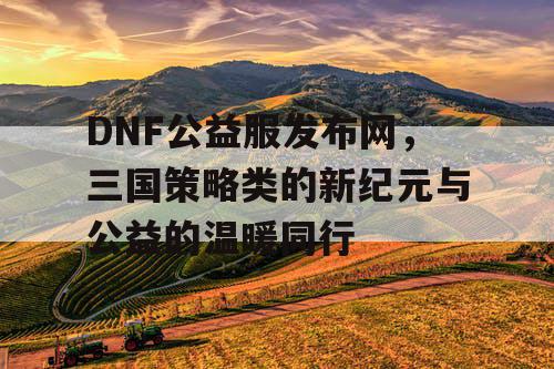 DNF公益服发布网，三国策略类的新纪元与公益的温暖同行